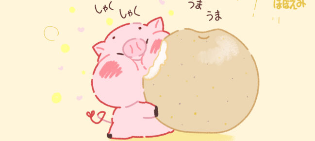 梨をいただいた！